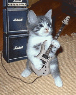 RockinCat